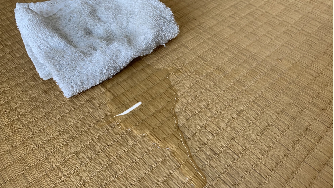 畳に水をこぼした時の完全攻略法！乾かし方からカビ予防・最新置き畳まで徹底解説