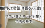 梅雨の湿気は畳の天敵！プロが教えるカビ対策と予防の基本