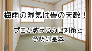 梅雨の湿気は畳の天敵！プロが教えるカビ対策と予防の基本