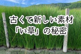古くて新しい素材 「い草」の秘密
